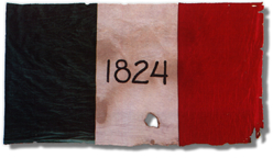 The 1824 "Alamo Flag"