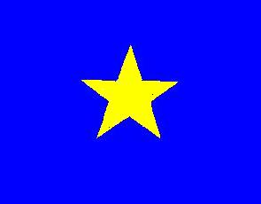 Burnet Lone Star Flag