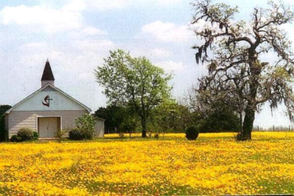 Mossy Grove Methodist Church in March