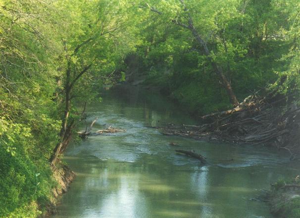 San Marcos River