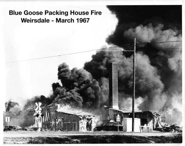 Blue Goose Packing House Fire '67