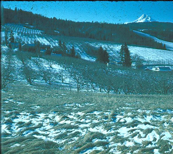 Mt. Hood from the Packer Ranch