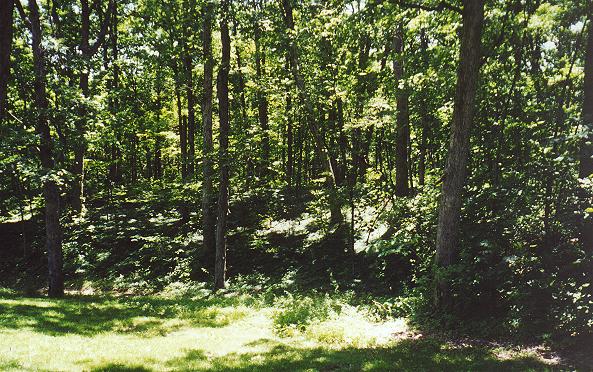 Heart of the Kent cemetery