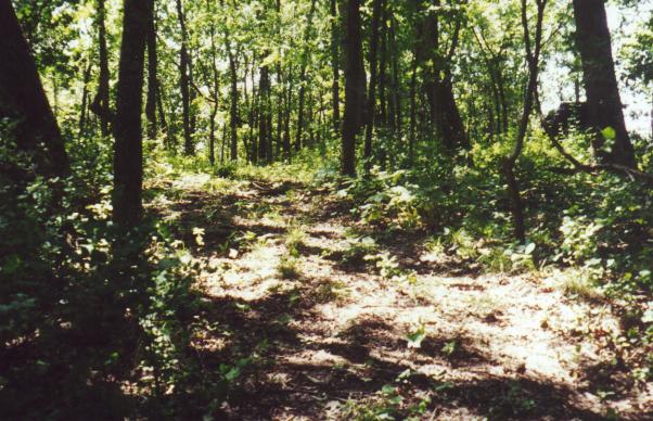 Path up to cemetery