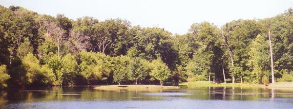 Pond on the Isaac Kent Farm Subdivision